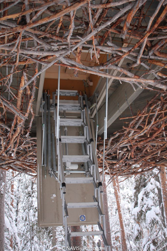 Treehotel L-18