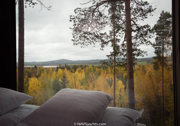 Treehotel L-37