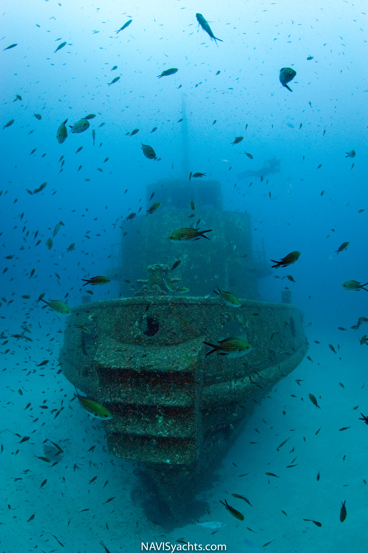 Diving Malta L-1