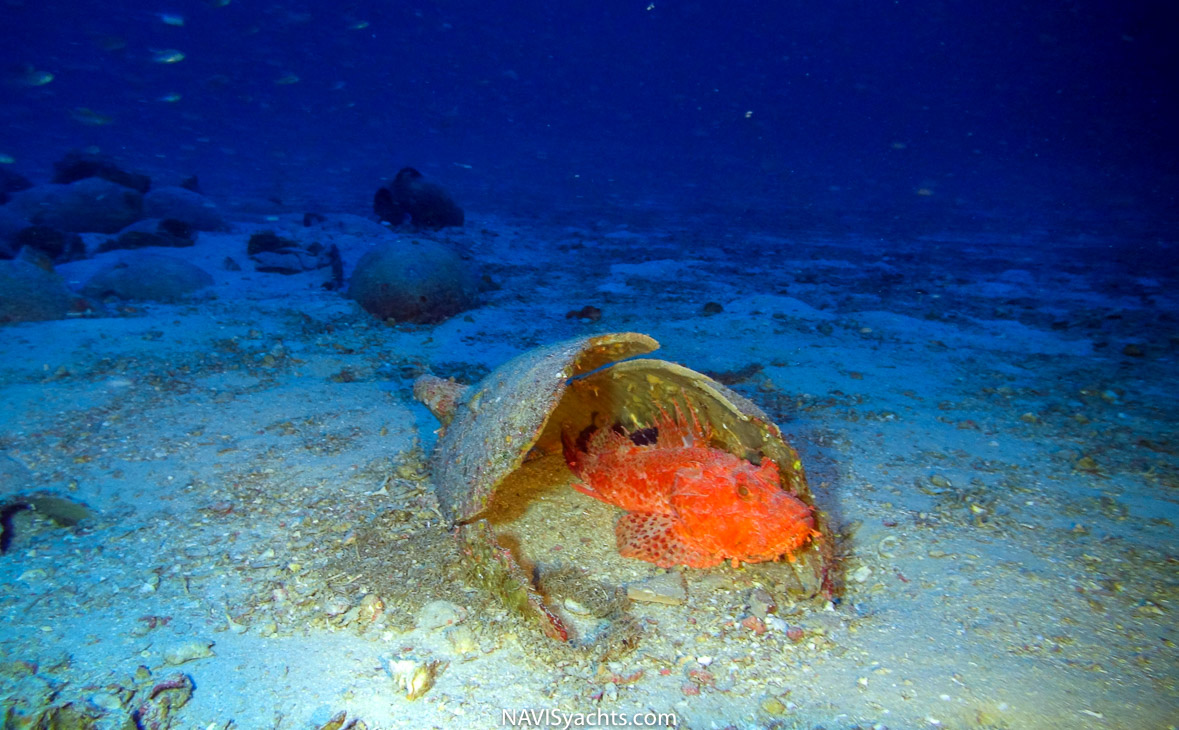 Diving Malta L-16