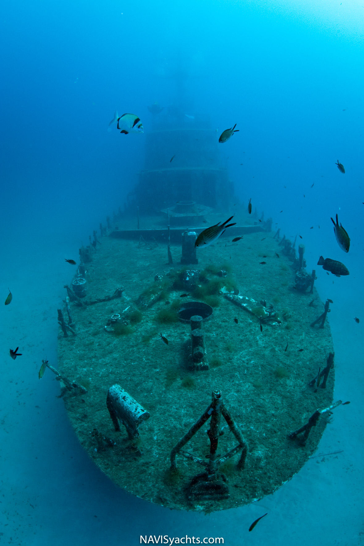 Diving Malta L-4
