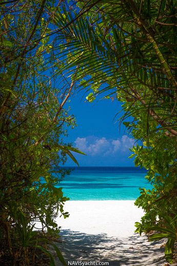 Coco Bodu Hithi L-18