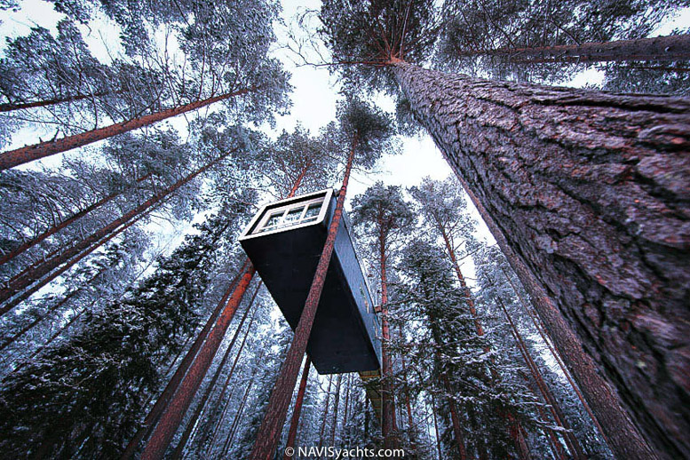 Treehotel L-10