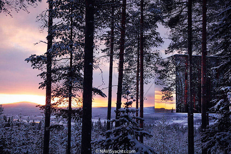 Treehotel L-11