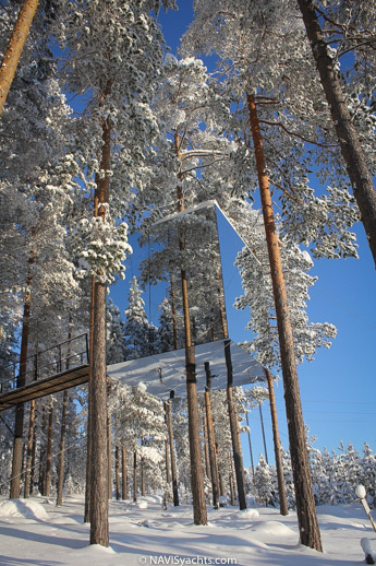 Treehotel L-32