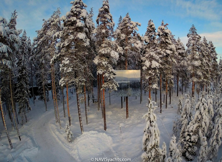 Treehotel L-36