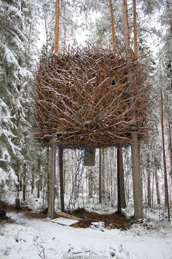 Treehotel L-5