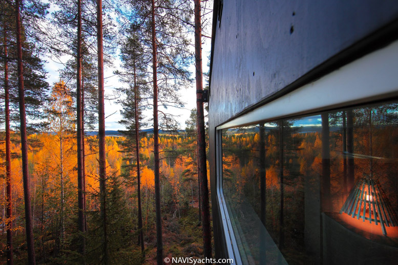 Treehotel L-53