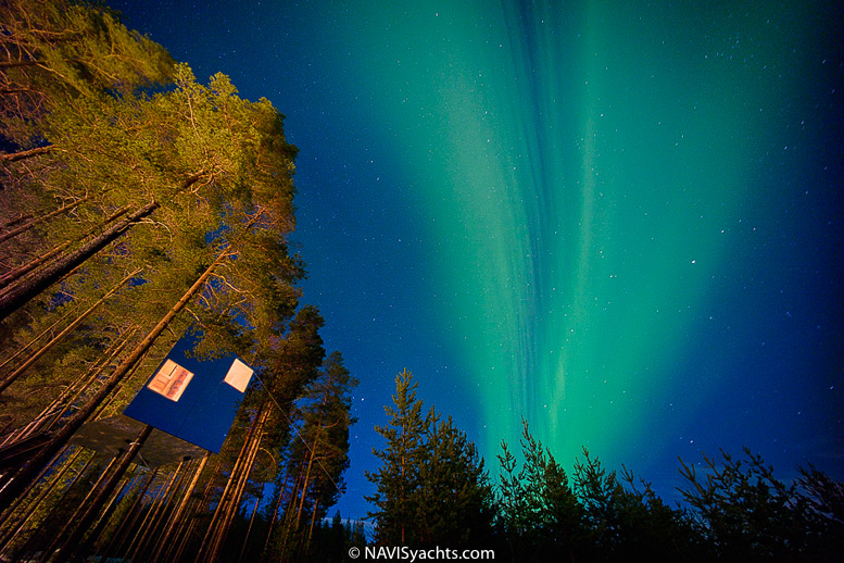 Treehotel L-57