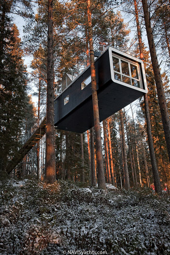 Treehotel L-7