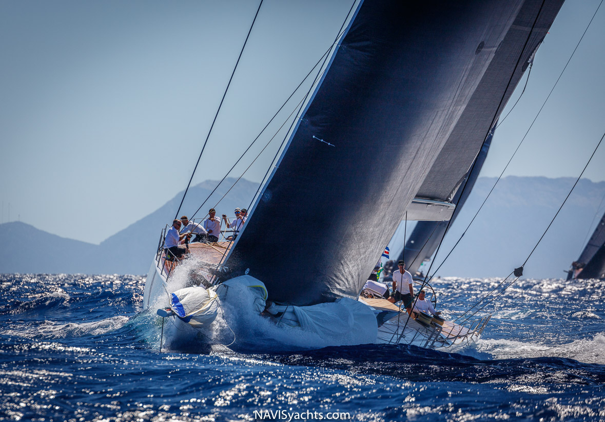 wally Galateia L-51