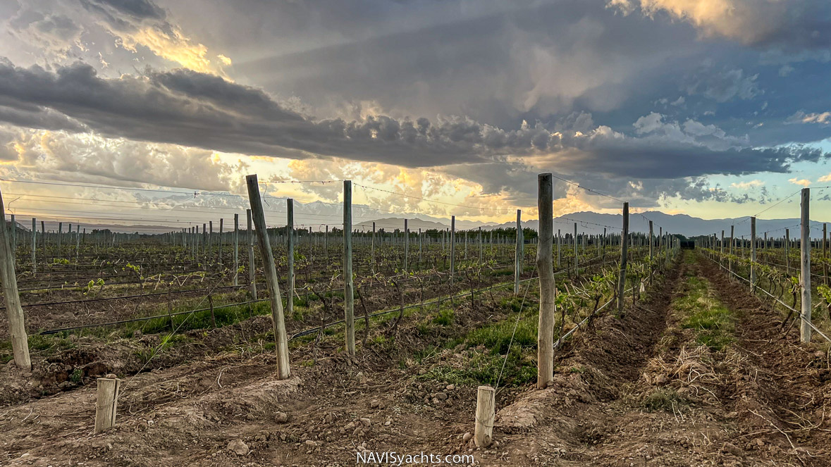 Argentina to Host the 2022 World’s Best Vineyards