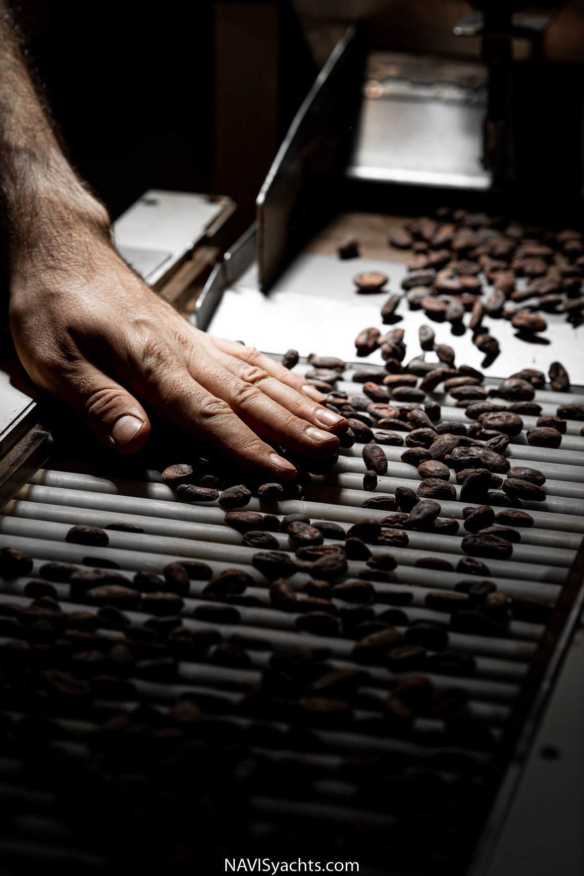 Ducasse Chocolates L-8