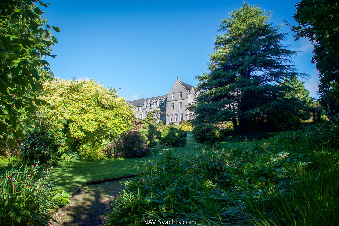 Kenmare’s Beauty In A Perfect Day Wild At Heart