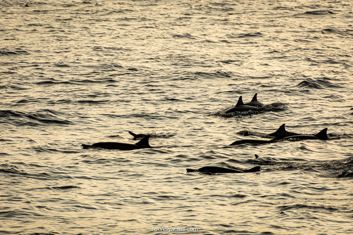 Soneva Jani Maldives - Tag @soneva - Credits Ahmed Jailam   Stevie Mann   Florina Toma   Moosa Haleem    Fizal   L-34