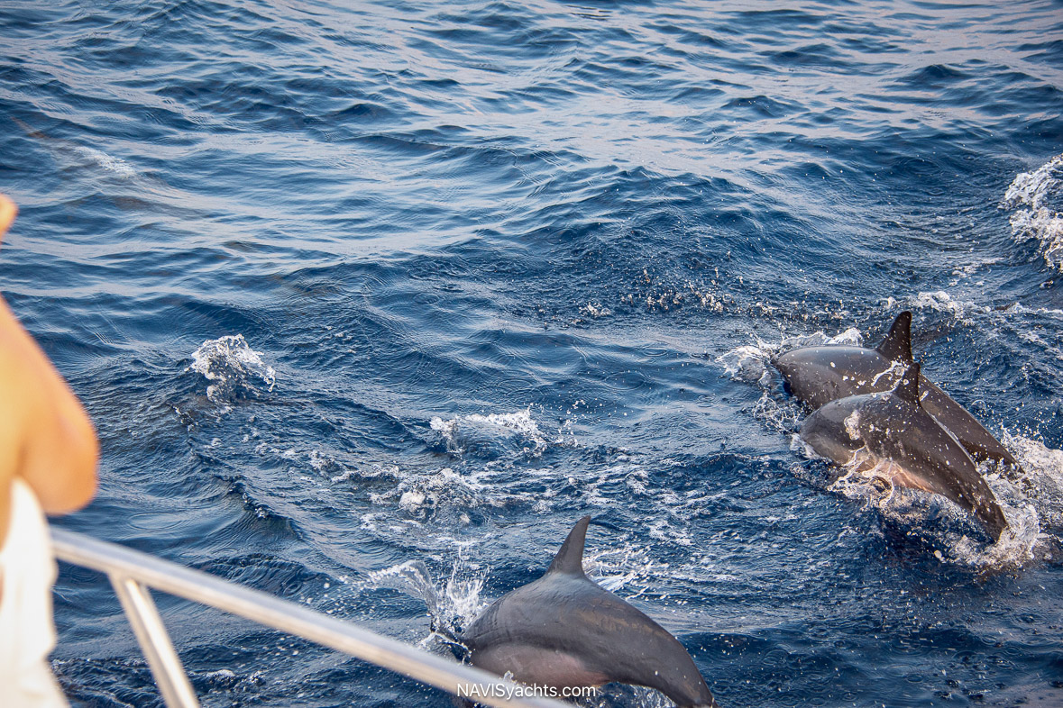 Soneva Jani Maldives - Tag @soneva - Credits Ahmed Jailam   Stevie Mann   Florina Toma   Moosa Haleem    Fizal   L-35