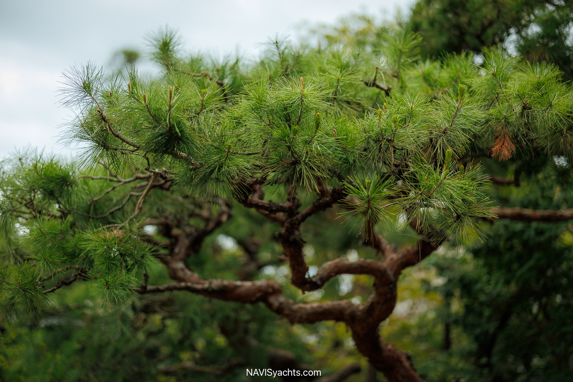 Ryokan Kurashiki L-15