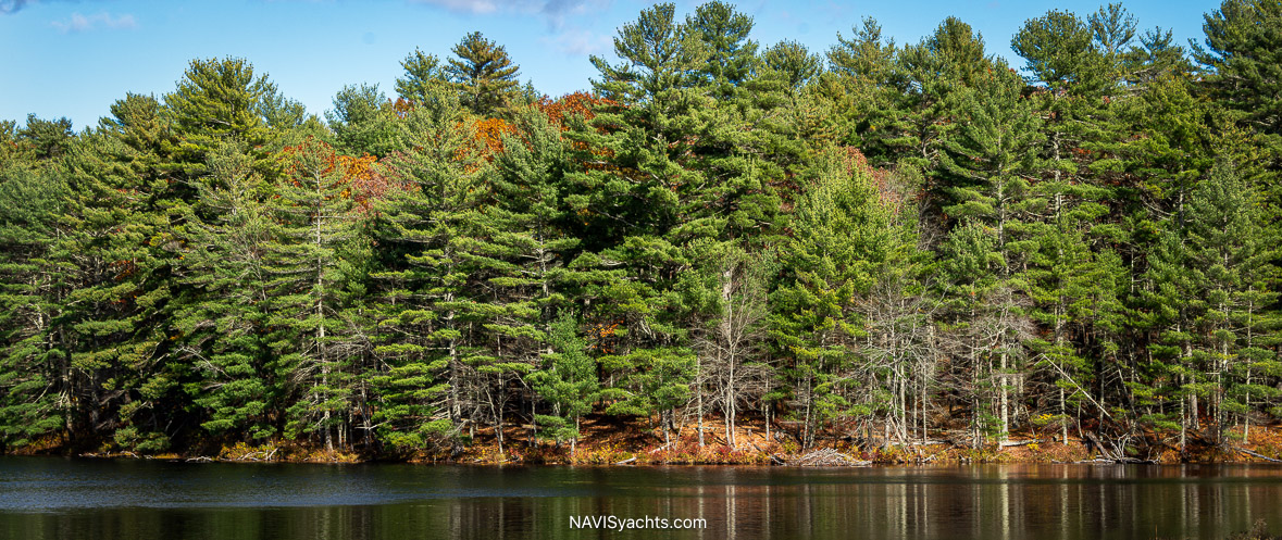 Rolls Northeast L-74