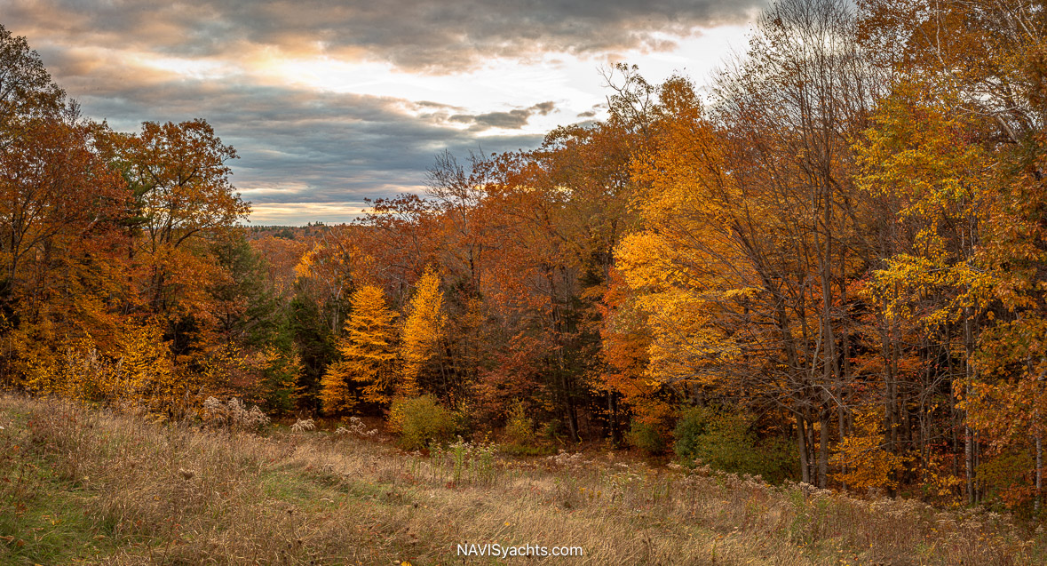 Rolls Northeast L-77