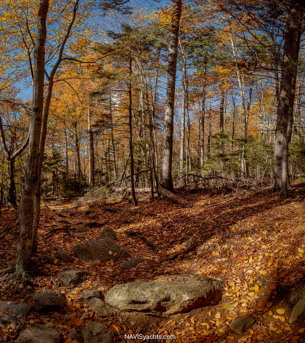 Rolls Northeast L-78