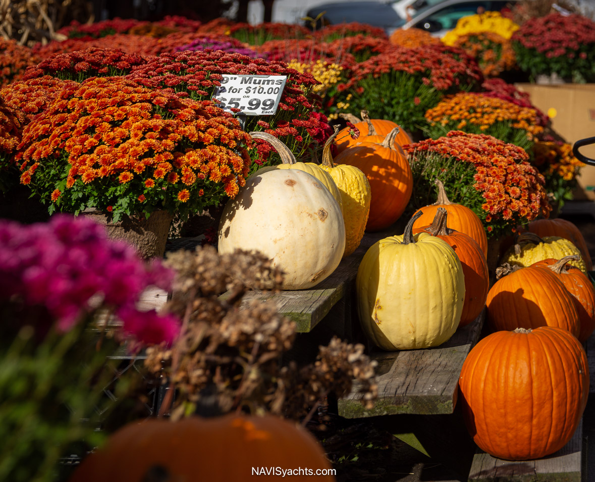 Rolls Northeast L-83