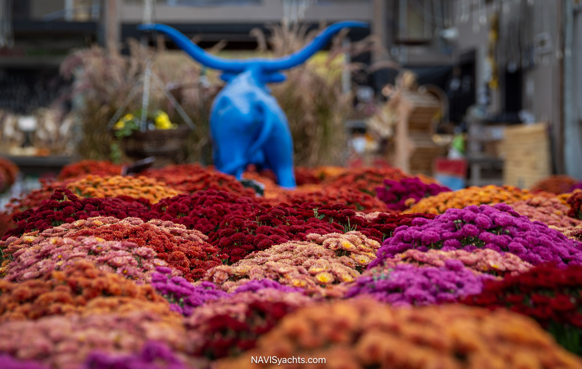 Rolls Northeast L-84