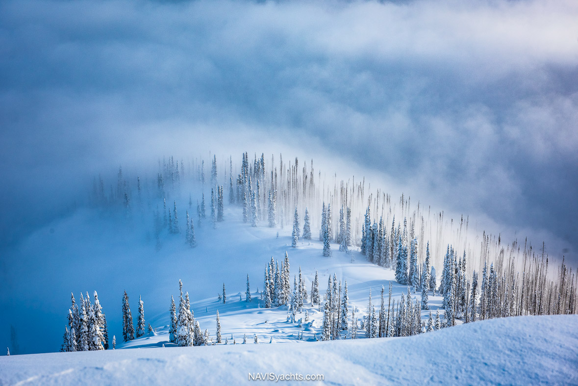 CMH Heliskiing L-