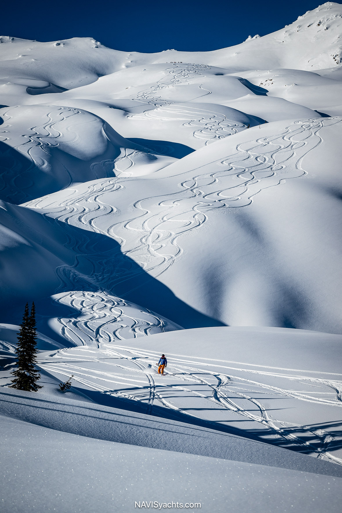 CMH Heliskiing L-