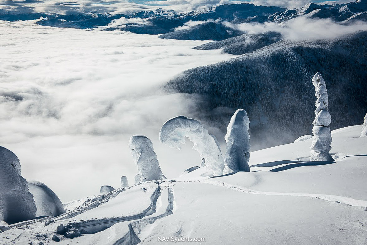 CMH Heliskiing L-