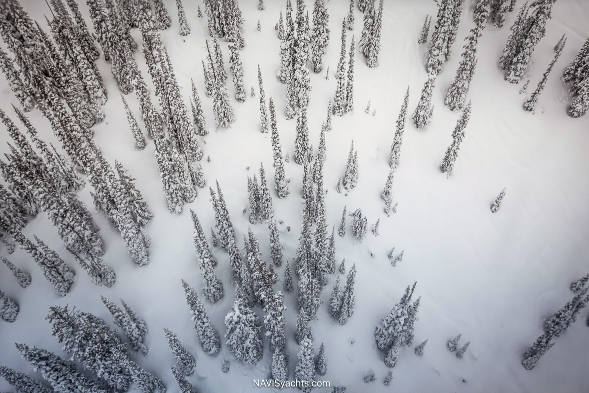 CMH Heliskiing L-