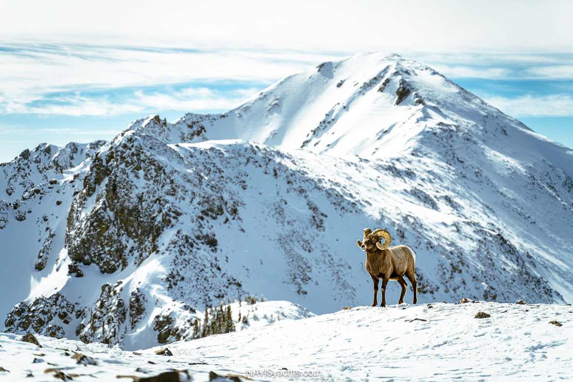 Taos Ski Valley L-